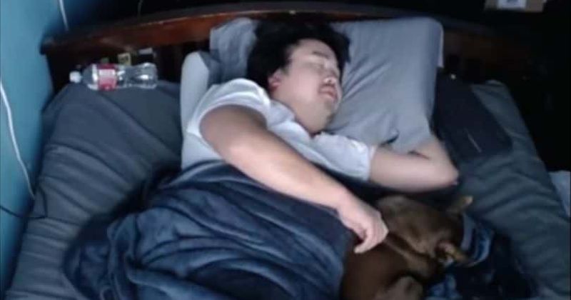 Quem é o Andy asiático? O streamer do Twitch ganha US $ 16.000 em 7 horas, permitindo que os espectadores o acordem enquanto ele tenta dormir